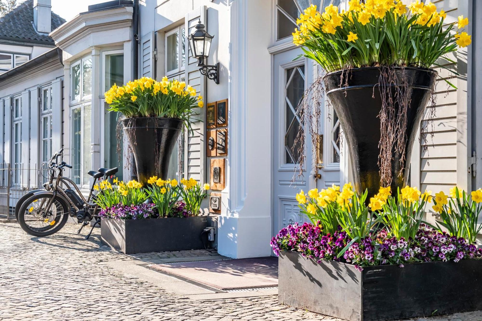 Hotel Louis C. Jacob Hamburg Dış mekan fotoğraf Flower containers